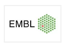 EMBO | EMBL Symposium  Microbial infections and human cancer