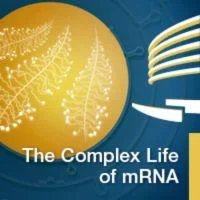 EMBO|EMBL Symposium: The Complex Life of mRNA