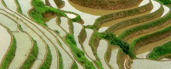2018 3rd International Conference on Agricultural Science and Biotechnology