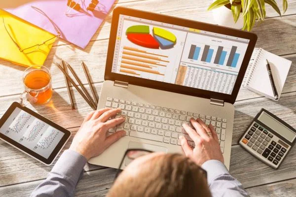 Excel - Data Visualization and Info graphics