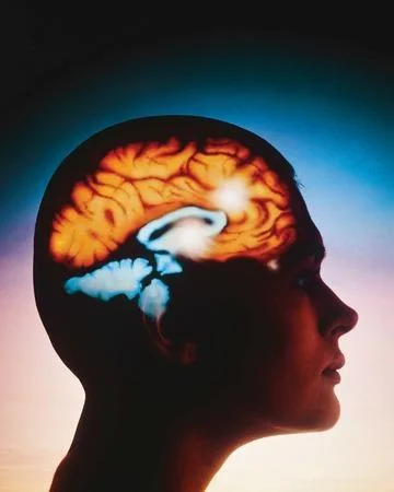 19th annual Innovations in Neuroscience