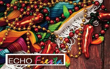 Echo Fiesta:  Adult Echo for Sonographers And Physicians