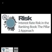 Interest Rate Risk in the Banking Book: The Pillar 2 Approach