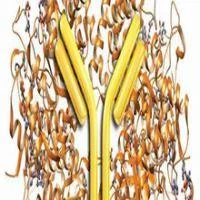 Biologics And Biosimilars Congress