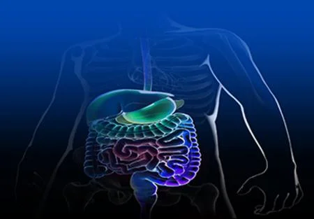 Mayo Clinic Gastroenterology and Hepatology Board Review Online