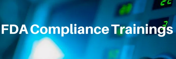 Developing a Strategic Approach to FDA Compliance for Computer System Validation