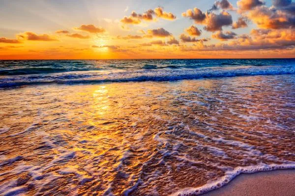 ENT Updates on the Beach 2022