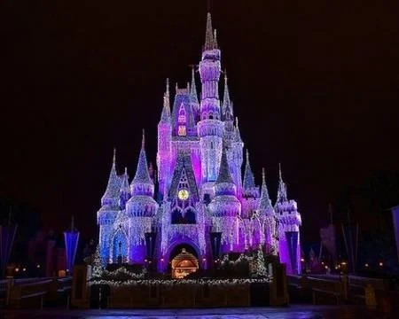 Primary Care CME at Walt Disney World Orlando