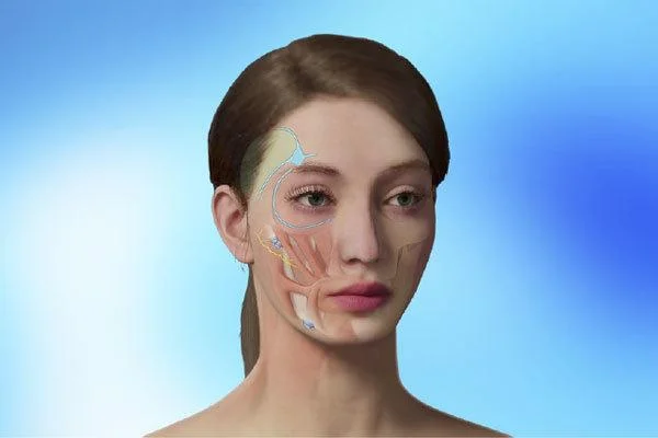 Mendelson Deep Plane Face Lift and Mayo Clinic Aesthetic Facial Contouring Hands-on Surgical Skills