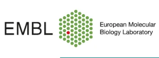 EMBO | EMBL Symposium: Microtubules: From Atoms to Complex Systems - Virtual